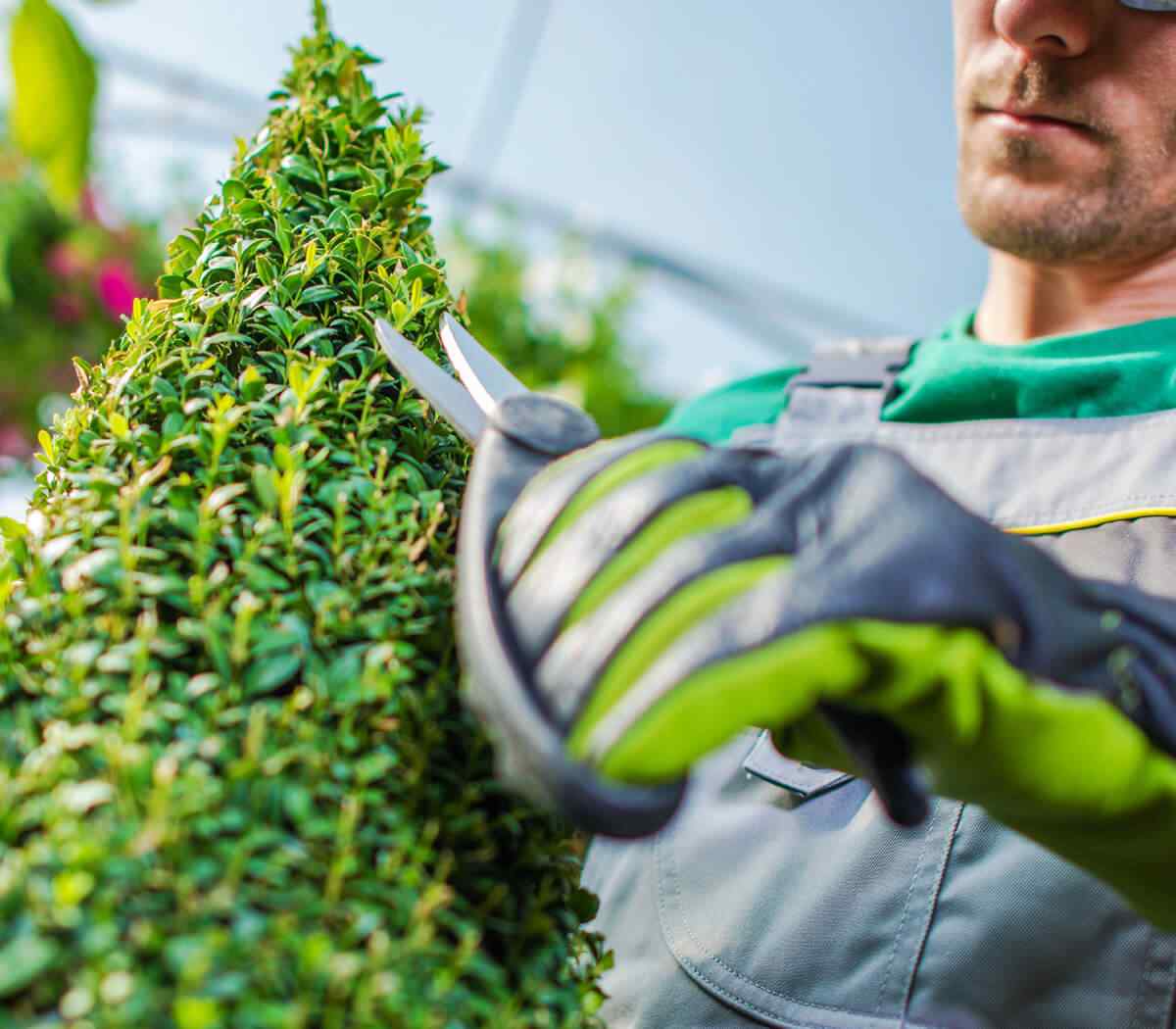 inner_02 https://ecogreen.alma-consulting.net/wp-content/uploads/2019/06/inner_02.jpg