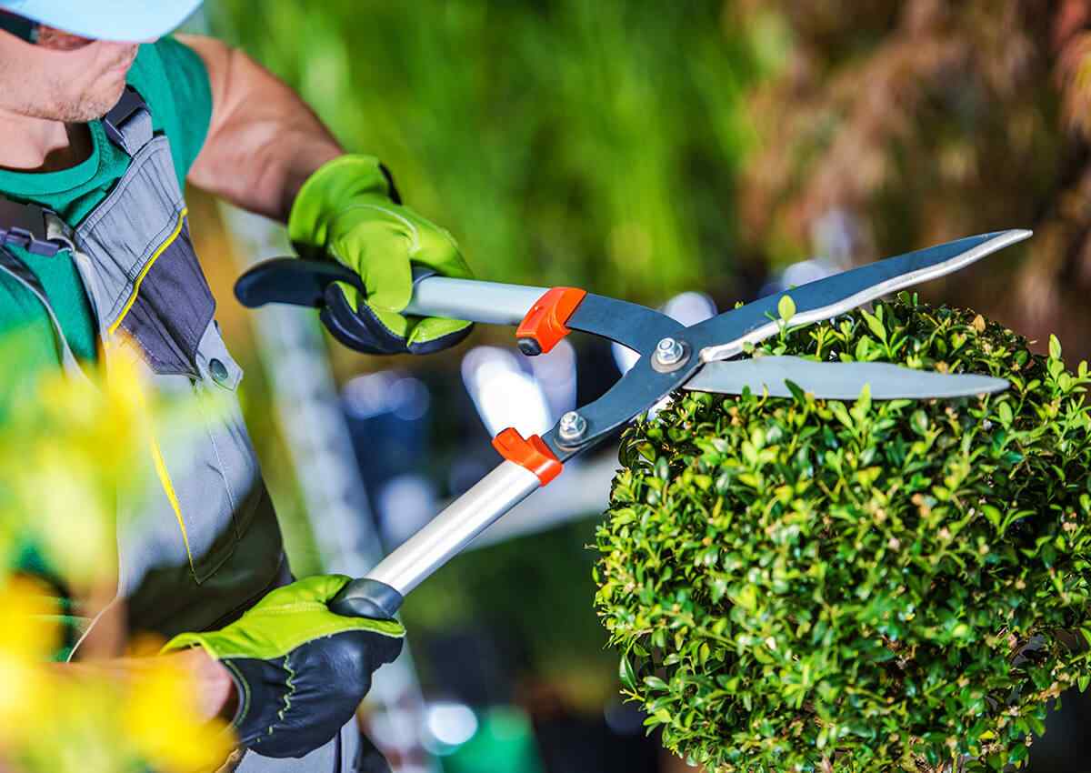 inner_image_02 https://ecogreen.alma-consulting.net/wp-content/uploads/2019/06/inner_image_02.jpg