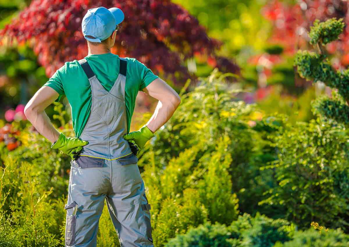 inner_image_04 https://ecogreen.alma-consulting.net/wp-content/uploads/2019/06/inner_image_04.jpg